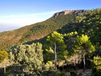 Sierra Espuna